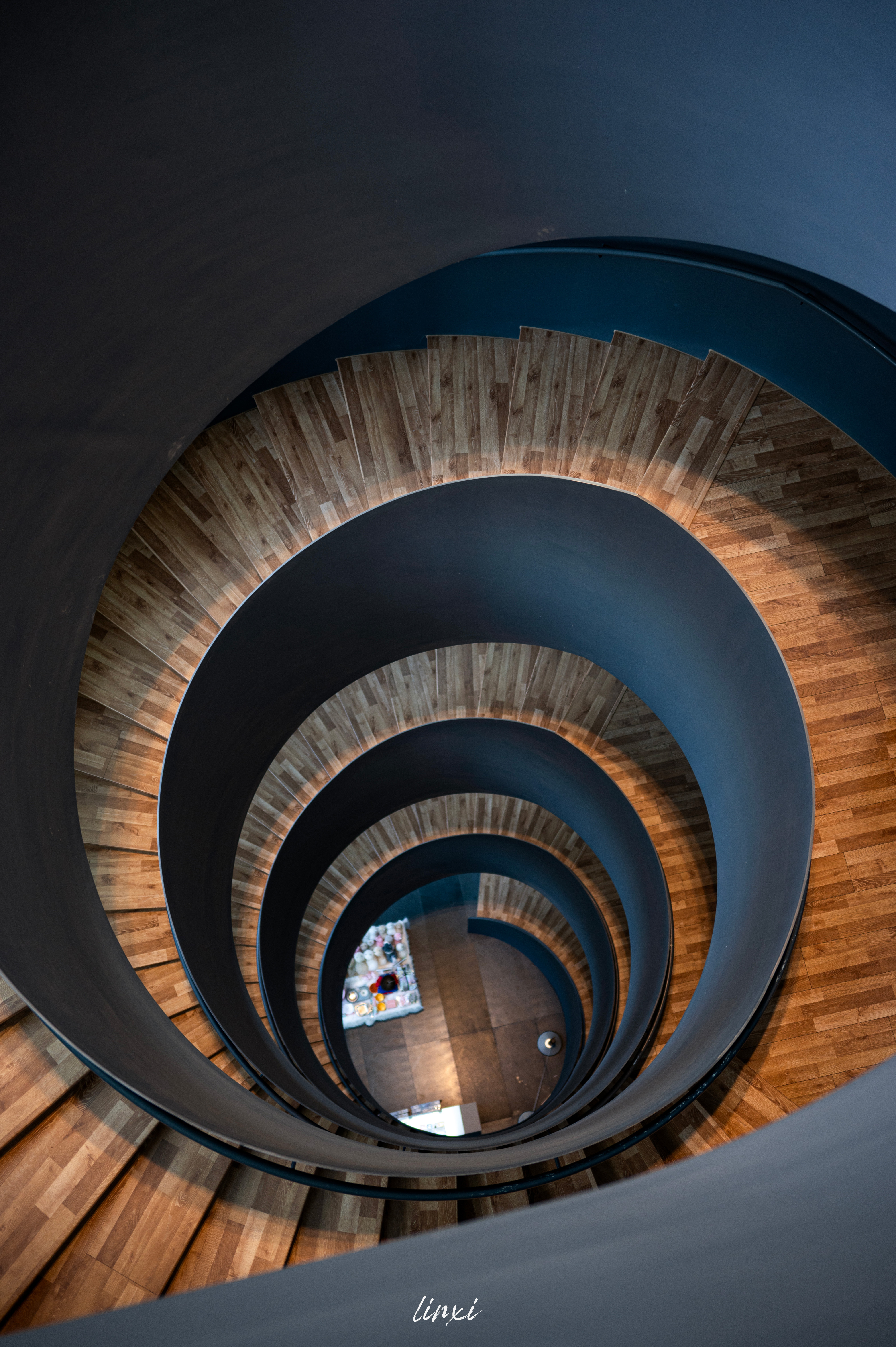 Linxaura photo gallery